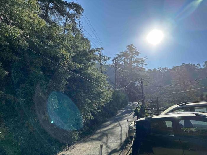 shimla