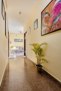 lime tree studio unitech cyber park