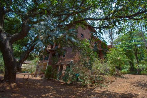 dr nimkars konkan nest resort ganpatipule