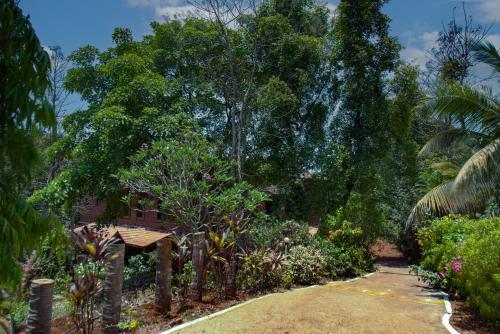 dr nimkars konkan nest resort ganpatipule