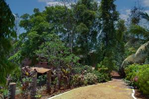 dr nimkars konkan nest resort ganpatipule