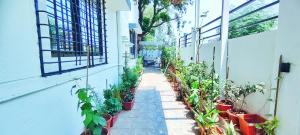 tulsi villa the holiday home