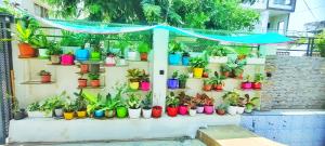 tulsi villa the holiday home