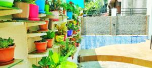 tulsi villa the holiday home