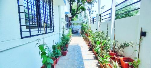 tulsi villa the holiday home