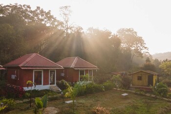 revtree dark forest inn