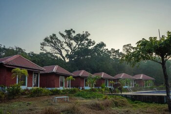 revtree dark forest inn