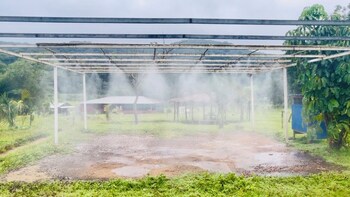 revtree dark forest inn