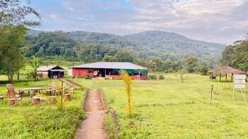 revtree dark forest inn