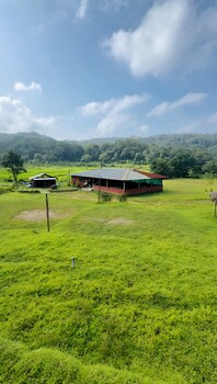 revtree dark forest inn