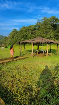 revtree dark forest inn