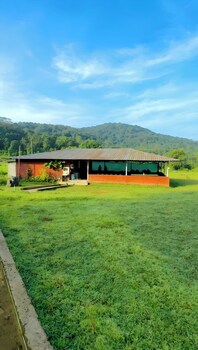 revtree dark forest inn