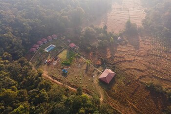 revtree dark forest inn