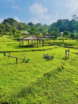 revtree dark forest inn