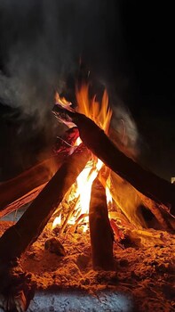 revtree dark forest inn