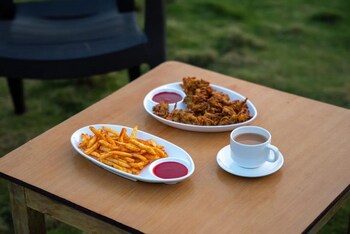 revtree dark forest inn