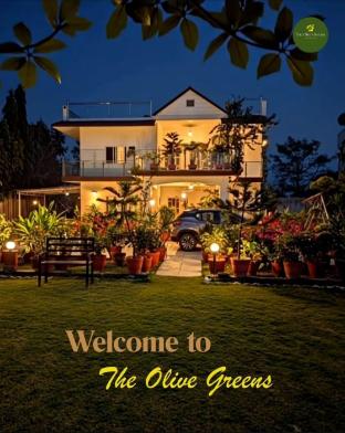 the olive greens