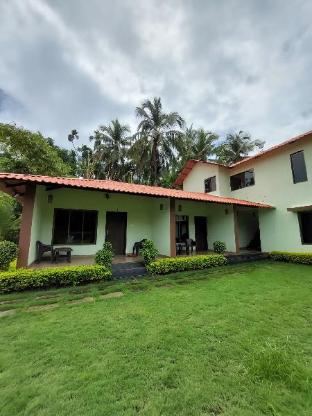 llif 2761 chintamani resort