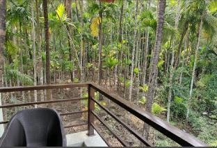 llif 2761 chintamani resort