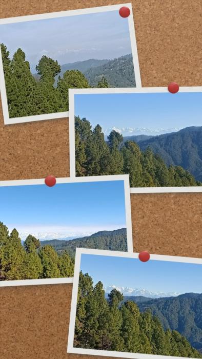 jaishnavi homestay and restaurant