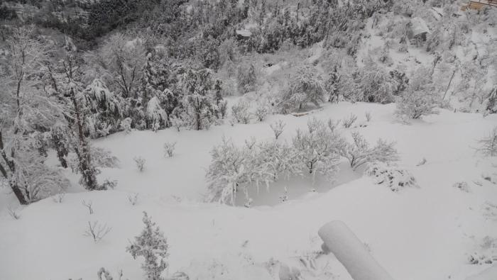 jaishnavi homestay and restaurant