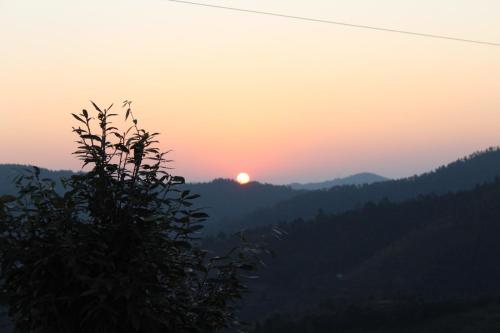 jaishnavi homestay and restaurant