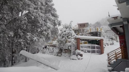 jaishnavi homestay and restaurant