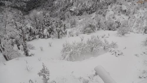 jaishnavi homestay and restaurant