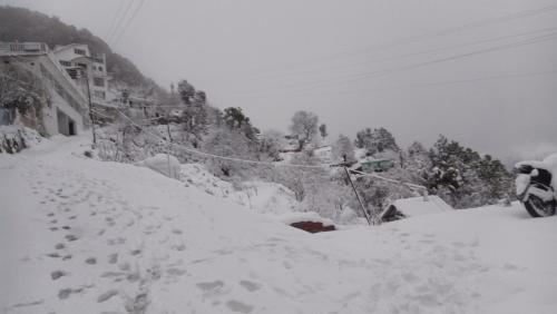 jaishnavi homestay and restaurant