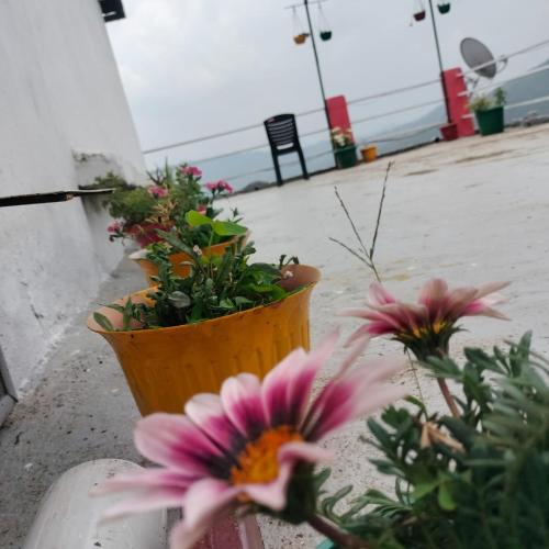 jaishnavi homestay and restaurant