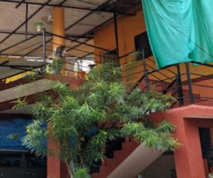 mangeshai niwas cottage alibaug