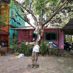 mangeshai niwas cottage alibaug