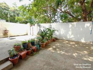 annamaiah guest house