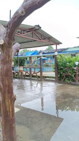 kamala agro farms
