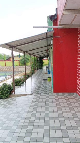kamala agro farms