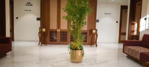 hotel shlokinn