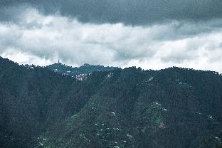 carignano homestay mashobra