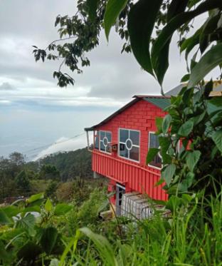 leo wood house vattakanal kodaikanal