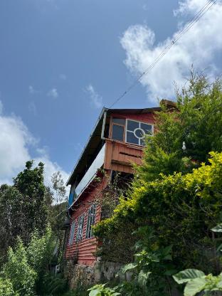 leo wood house vattakanal kodaikanal