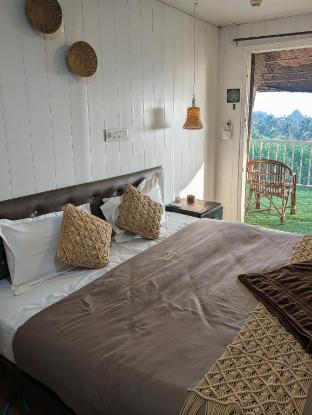 Solace Mandrem,,3 star