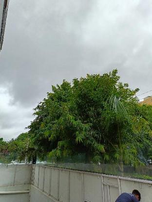 hotel royal oak sector 40