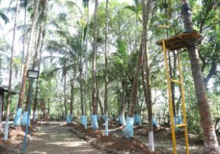 sanskruti coco farm kolad