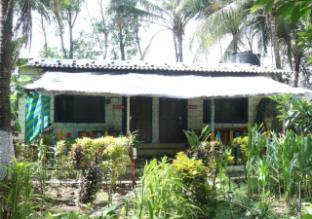sanskruti coco farm kolad