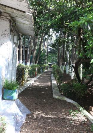 sanskruti coco farm kolad