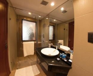 hotel the gross infinity near delhi airport