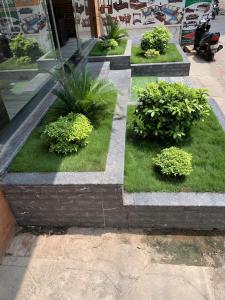 hotel blue residency