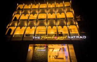 the flamboyant natraj