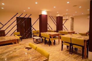 the flamboyant natraj