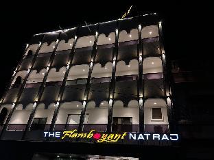 the flamboyant natraj