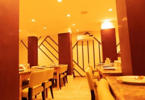 the flamboyant natraj